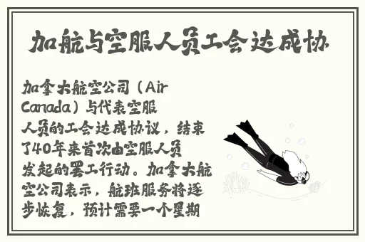 快播视频网站